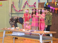 Farsang2016